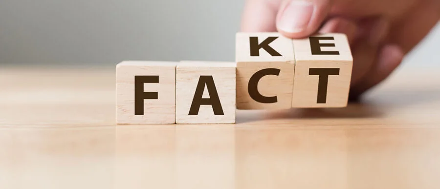 Unmasking Thirty Years of Domestic Violence: Misinformation, Half-Truths, and Lies